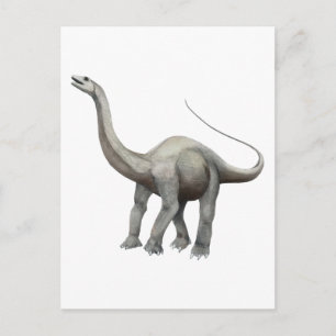 Apatosaurus Postkarte