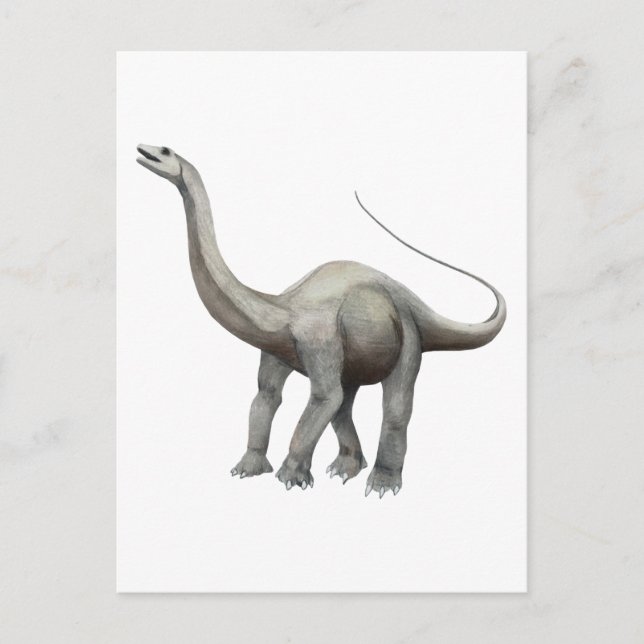 Apatosaurus Postkarte (Vorderseite)
