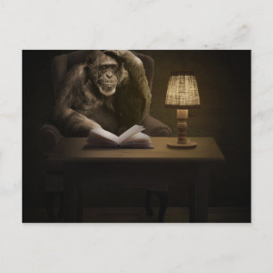 Ape Chimpanzee Monkey Postkarte
