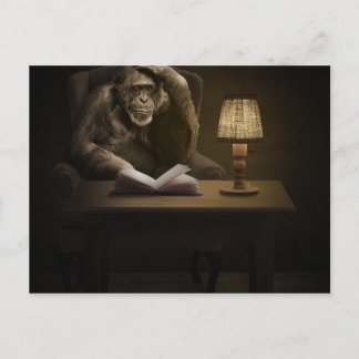 Ape Chimpanzee Monkey Postkarte