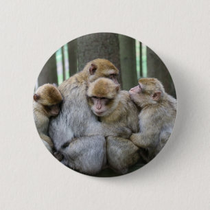 Ape Group Hug Button