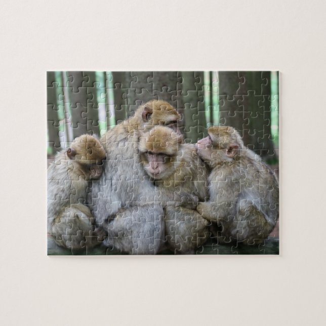 Ape Group Hug Puzzle (Horizontal)