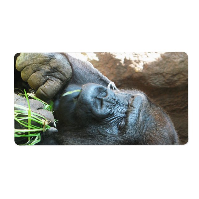 Ape Kapuze ~ Japanischer Gorilla Eating (Vorne)