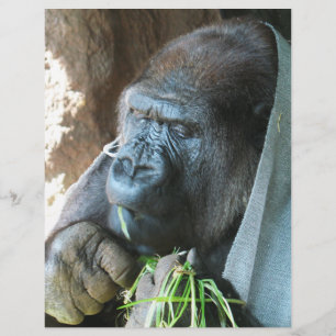 Ape Kapuze ~ Japanischer Gorilla Eating Flyer
