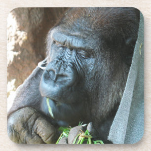 Ape Kapuze ~ Japanischer Gorilla Eating Getränkeuntersetzer