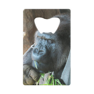 Ape Kapuze ~ Japanischer Gorilla Eating Kreditkarten Flaschenöffner