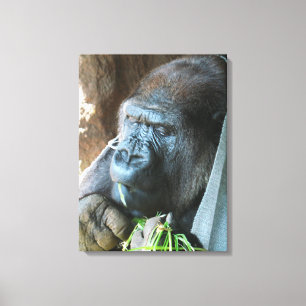 Ape Kapuze ~ Japanischer Gorilla Eating Leinwanddruck