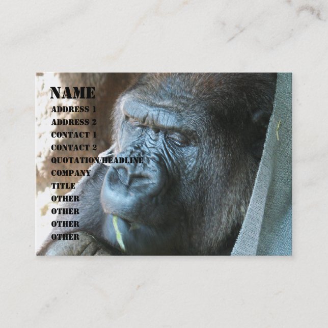 Ape Kapuze ~ Japanischer Gorilla Eating Visitenkarte (Vorderseite)