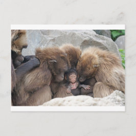 Ape Postkarte