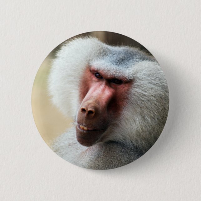 Ape Sprichwort howdy Button (Vorderseite)