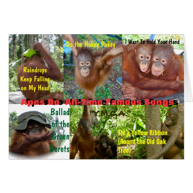 Apes Do All-Time-Berühmte Songs (Vorderseite (Horizontal))