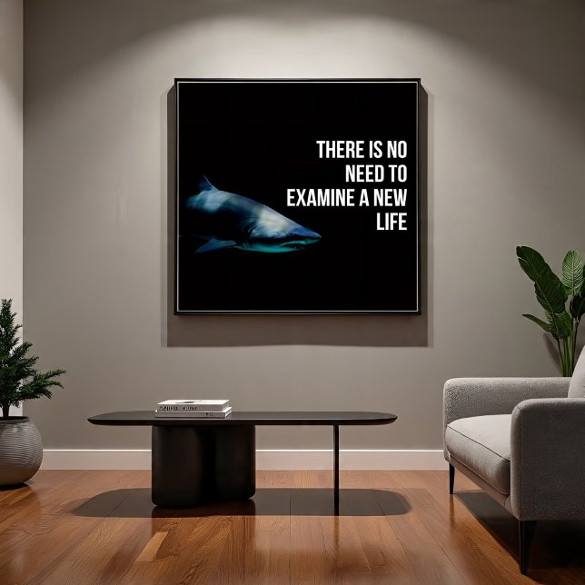 Apex Poster (Von Creator hochgeladen)