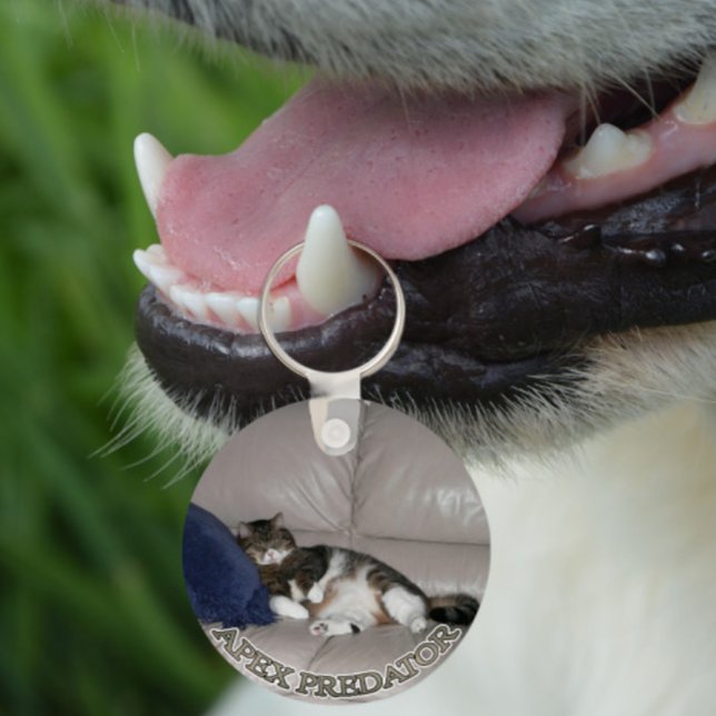 Apex Predator Fat lazy cat keychain Schlüsselanhänger (Von Creator hochgeladen)