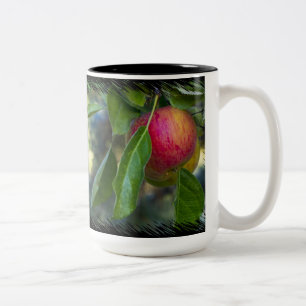 Äpfel 3 auf schwarz zweifarbige tasse
