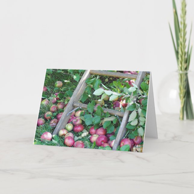 Äpfel an einem Herbst-Tag Karte (Vorderseite)