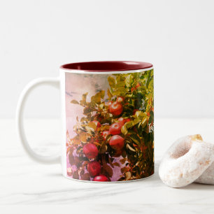 Äpfel auf Baum Art Personalisiert Zweifarbige Tasse