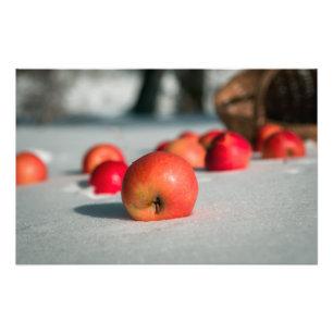 Äpfel auf dem Schnee Fotodruck