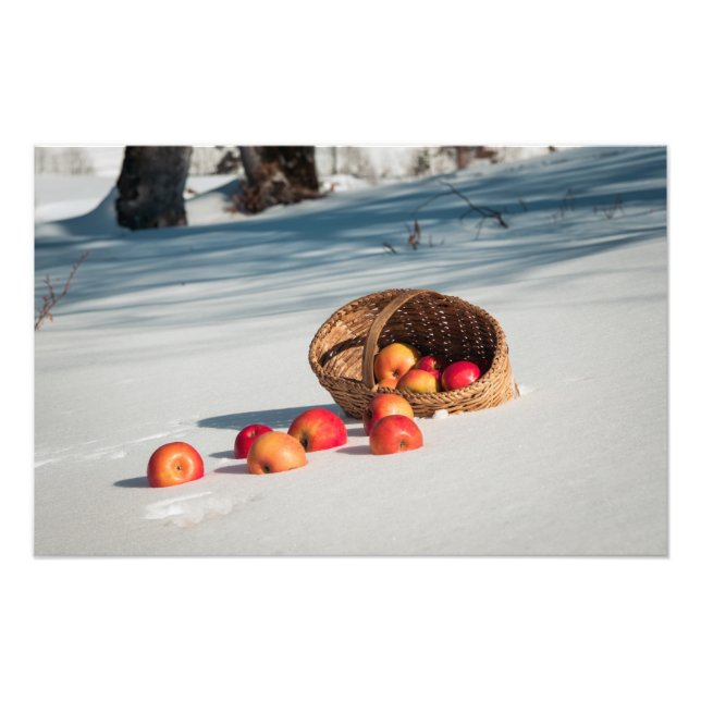 Äpfel auf dem Schnee Fotodruck (Vorne)