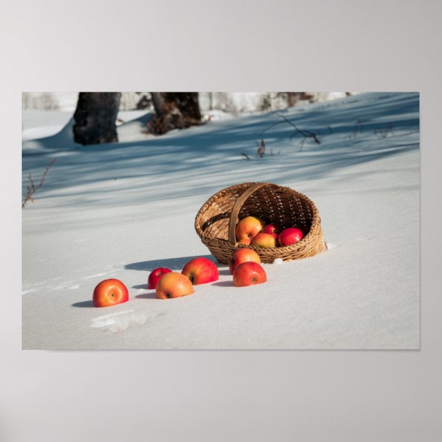 Äpfel auf dem Schnee Poster (Vorne)