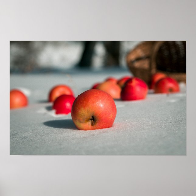 Äpfel auf dem Schnee Poster (Vorne)