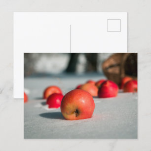 Äpfel auf dem Schnee Postkarte