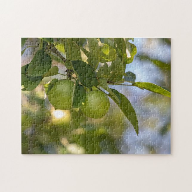 Äpfel auf Zweig Puzzle (Horizontal)