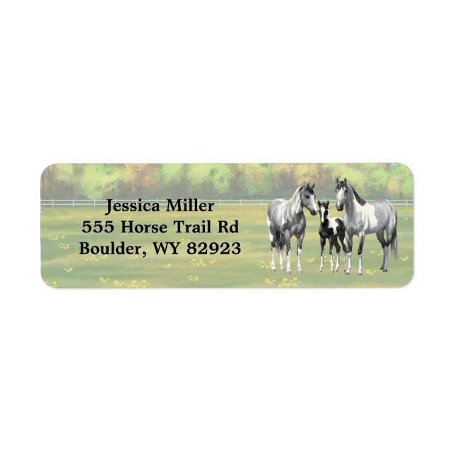 Apfel-Graupferd in der Sommerweide (Vorne)