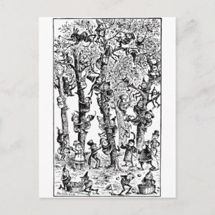 Äpfel in Obstgärten pflücken Postkarte