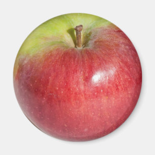 Apfel Magnet
