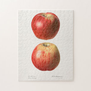 Äpfel (Malus Domestica) Frucht Aquarellmalerei Puzzle
