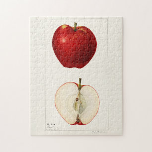 Äpfel (Malus Domestica) Frucht Aquarellmalerei Puzzle