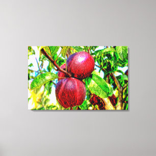 Apfel meines Auges Zeichnend Artwork auf Leinwand