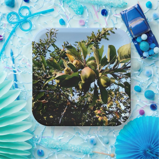 Äpfel Pappteller (Party)