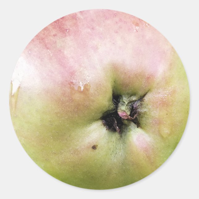APFEL RUNDER AUFKLEBER (Vorderseite)