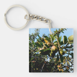 Äpfel Schlüsselanhänger