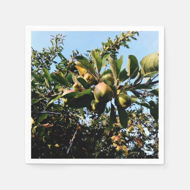 Äpfel Serviette (Vorderseite)