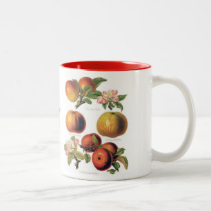 Apfel-Tasse (Sie können sie anpassen) Zweifarbige Tasse