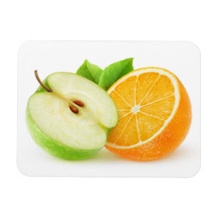 Apfel und Orange Magnet