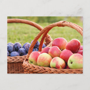 Äpfel und Pflaumen Postkarte