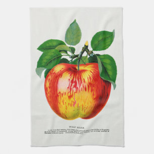 Apfel-Vintage-Illustration Küchenhandtuch Geschirrtuch
