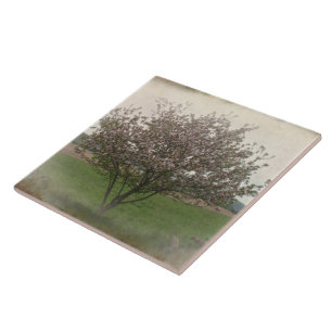 Apfelbaum in Bloom Fliese