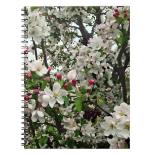 Apfelbaum in Blüte Notizblock