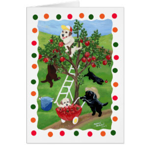 Apfelbaum Labradors (Punkt)