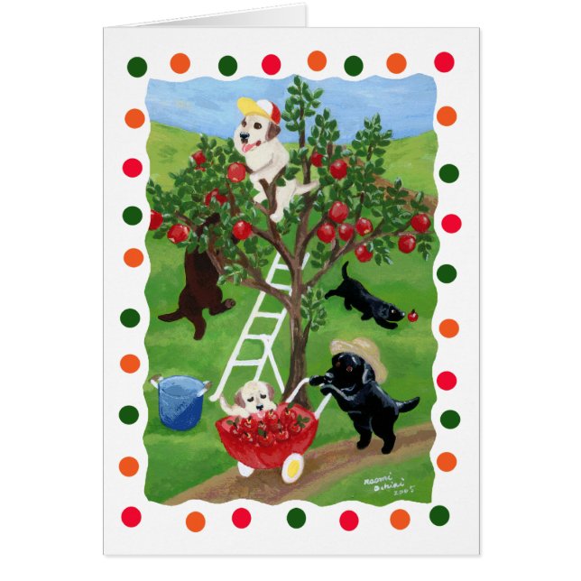 Apfelbaum Labradors (Punkt) (Vorne)