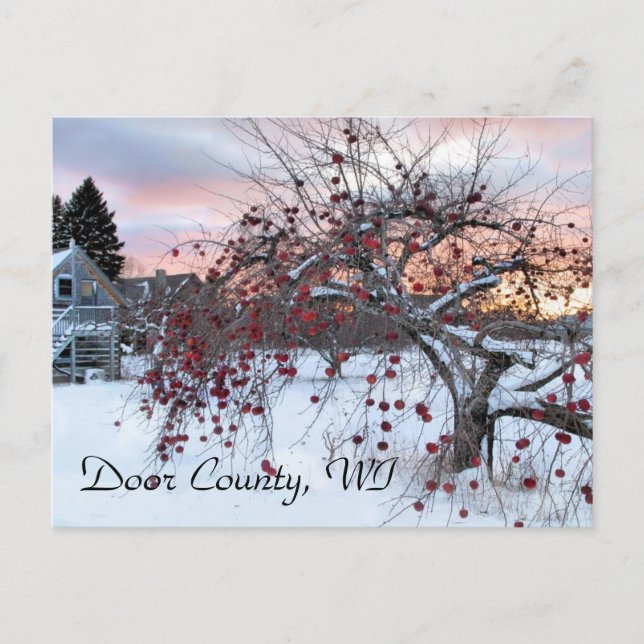 Apfelbaum Postkarte (Vorderseite)