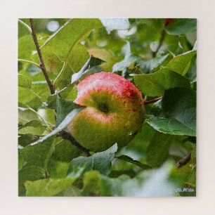 Apfelbaum schwierige grüne Wald Vollsaison Puzzle