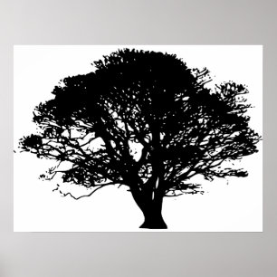 Apfelbaum-Silhouette Poster