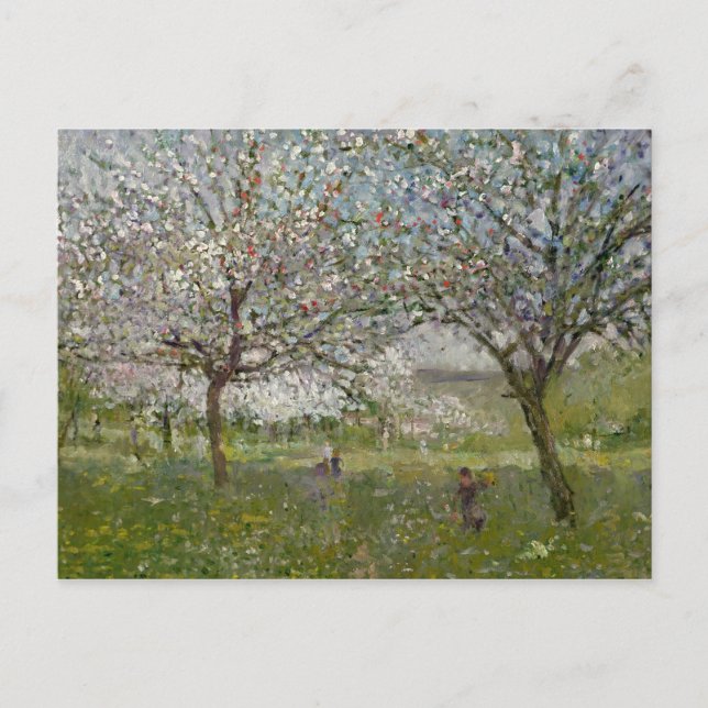 Apfelbäume in Blume Postkarte (Vorderseite)