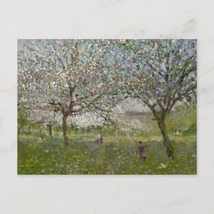 Apfelbäume in Blume Postkarte
