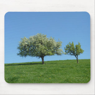 Apfelbäume Mousepad